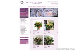 Blooming Amazing Flower Company