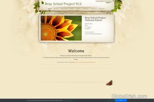 Bray School Project