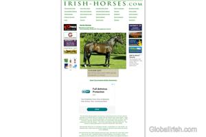 Irish-Horses