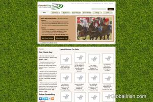 ParadeRing.ie Horse Sales