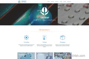 Trident Safety Group